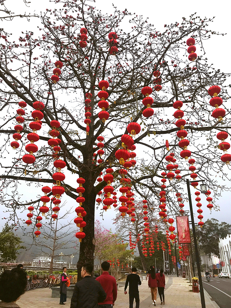广州市中南机电工程有限公司从化活动2